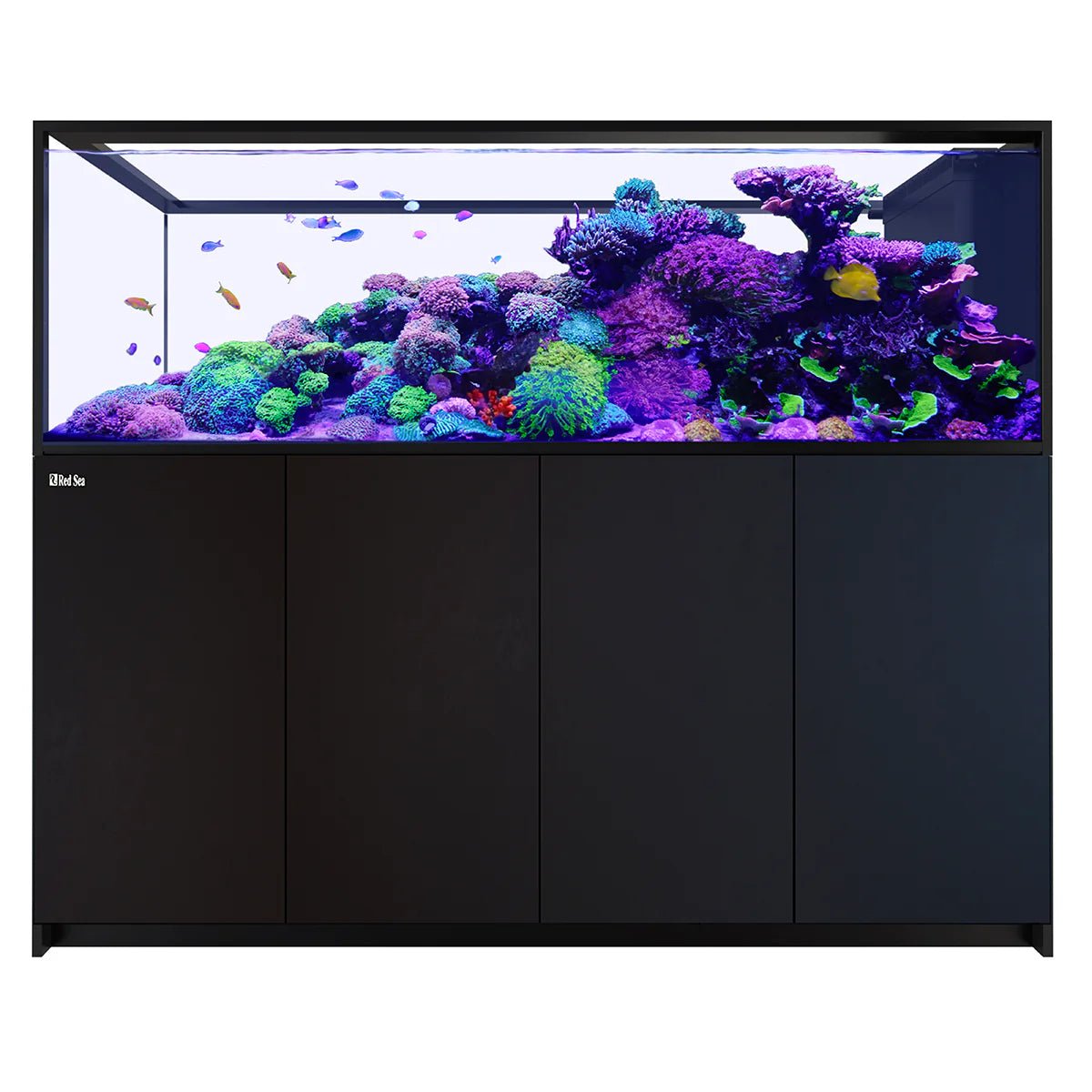 Red Sea Reefer Peninsula G3 S - 950 Aquarium - Perfect Aquatics Ltd