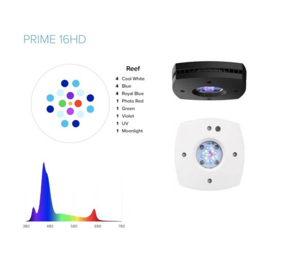 AI Prime 16 HD LED Light