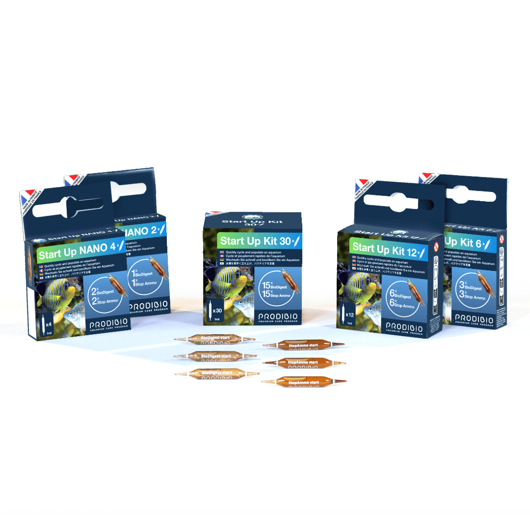 Prodibio Start Up – Aquarium Start - Up Kit with BioDigest & Stop Ammo - Perfect Aquatics Ltd