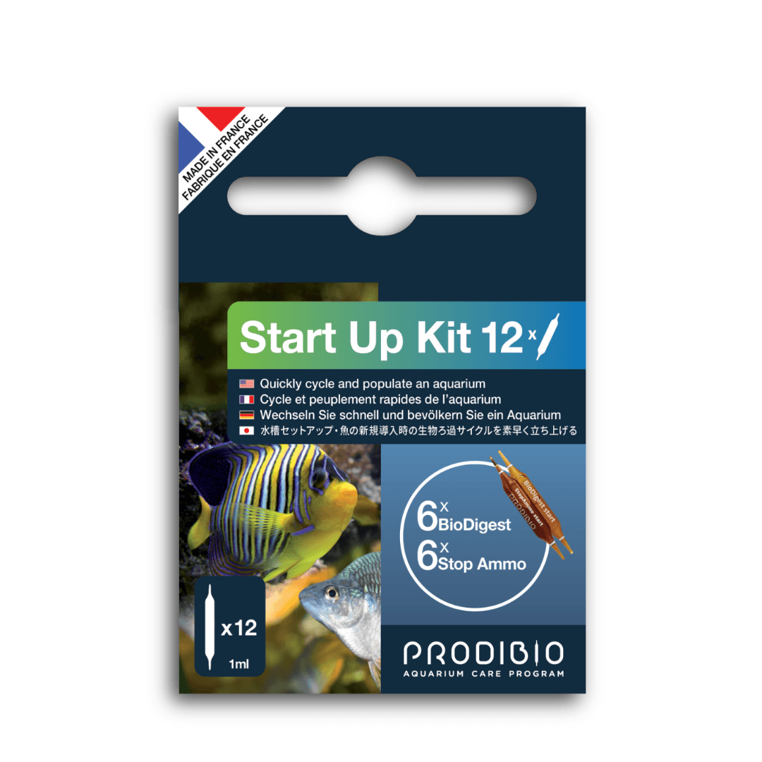 Prodibio Start Up – Aquarium Start - Up Kit with BioDigest & Stop Ammo - Perfect Aquatics Ltd