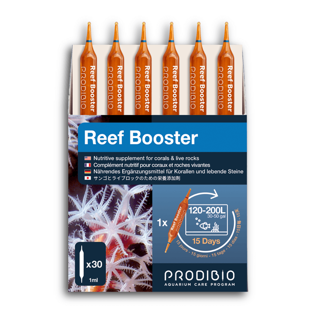 Prodibio Reef Booster – Coral & Live Rock Nutrition for Reef Aquariums - Perfect Aquatics Ltd