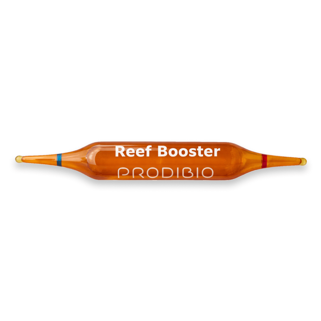 Prodibio Reef Booster – Coral & Live Rock Nutrition for Reef Aquariums - Perfect Aquatics Ltd