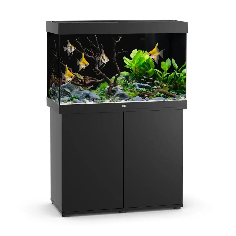 Juwel Rio 290 LED Aquarium and Cabinet - Perfect Aquatics Ltd