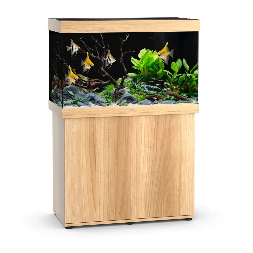 Juwel Rio 290 LED Aquarium and Cabinet - Perfect Aquatics Ltd