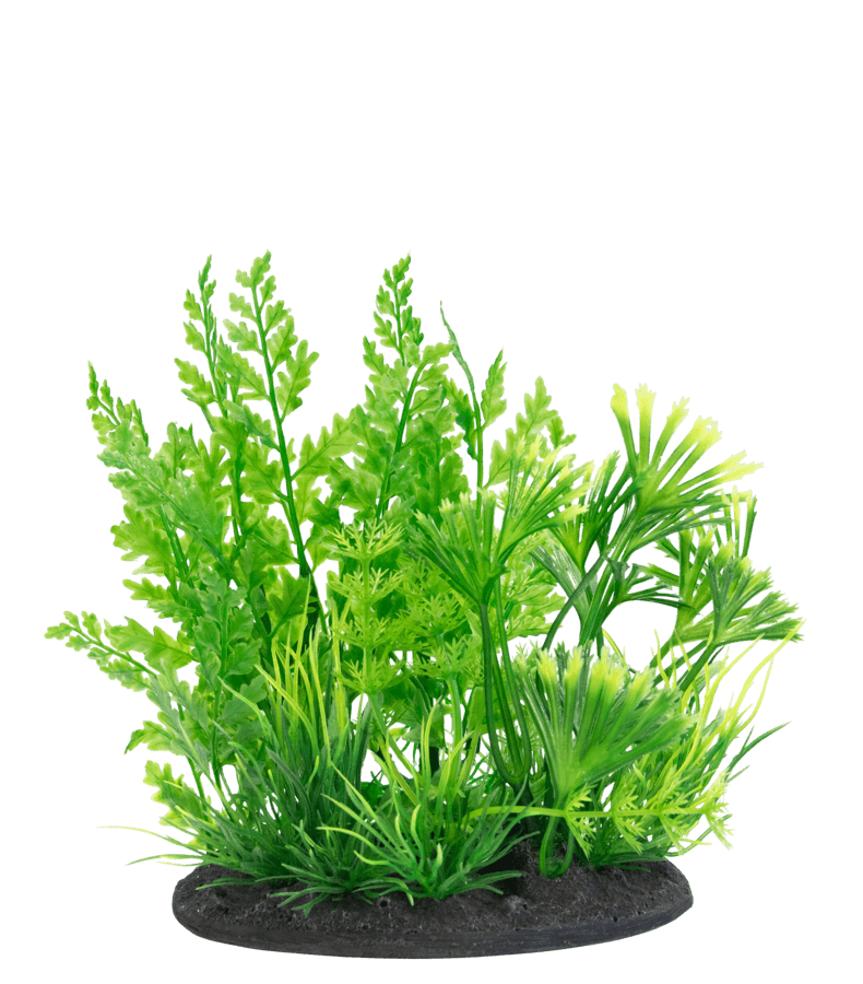 SuperFish Deco Plant Small - Perfect Aquatics Ltd
