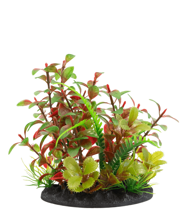 SuperFish Deco Plant Small - Perfect Aquatics Ltd