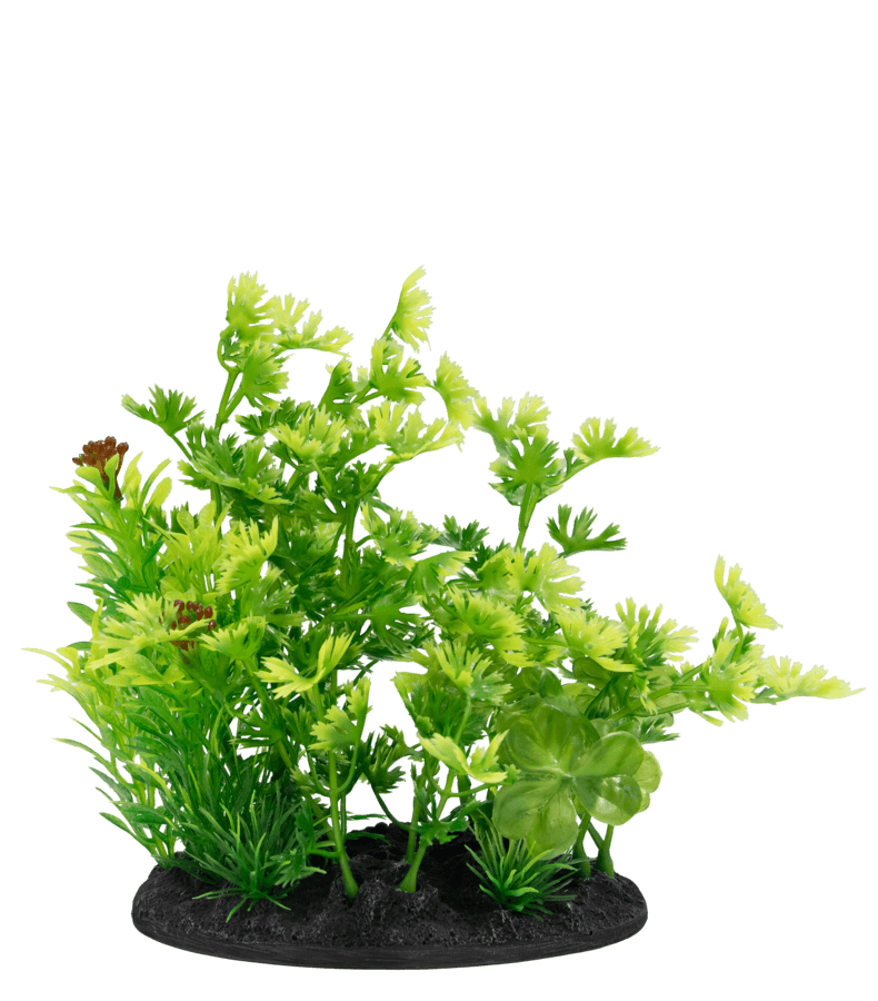 SuperFish Deco Plant Small - Perfect Aquatics Ltd