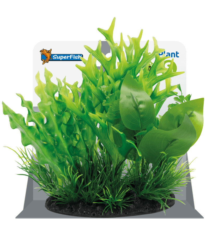 SuperFish Deco Plant Small - Perfect Aquatics Ltd