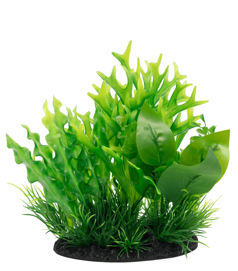 SuperFish Deco Plant Small - Perfect Aquatics Ltd