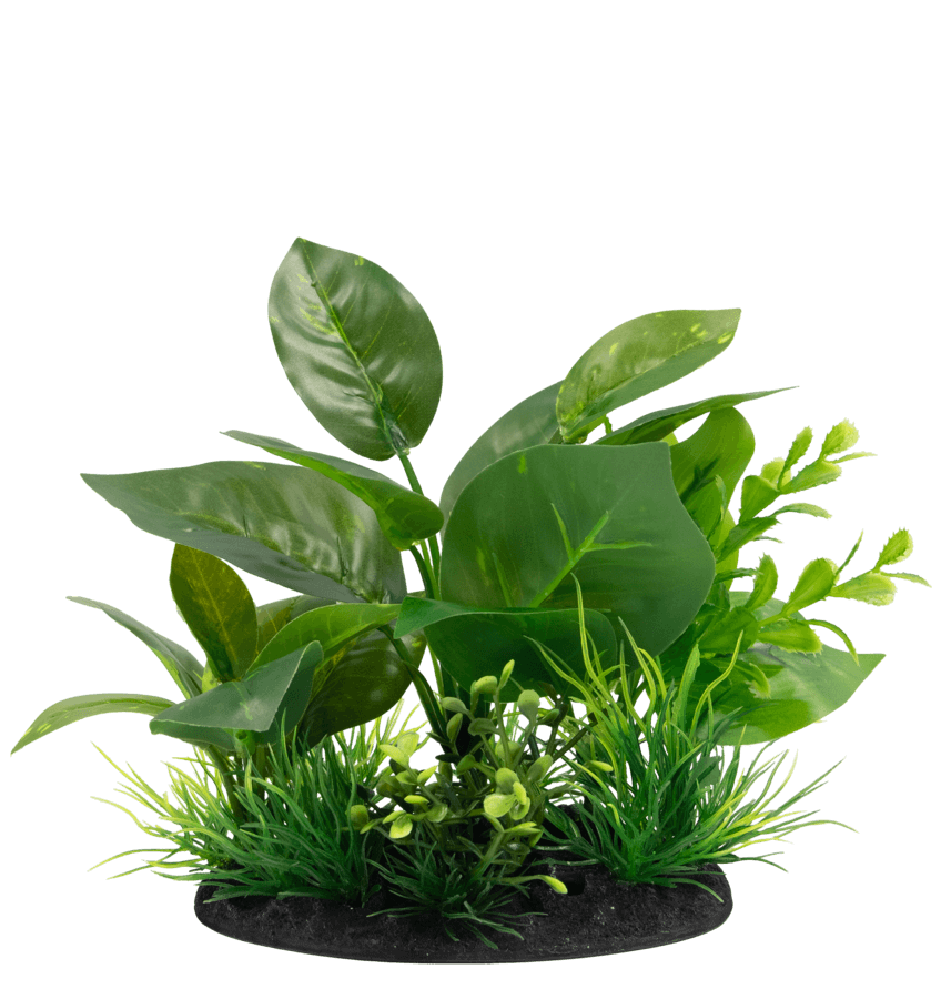 SuperFish Deco Plant Small - Perfect Aquatics Ltd