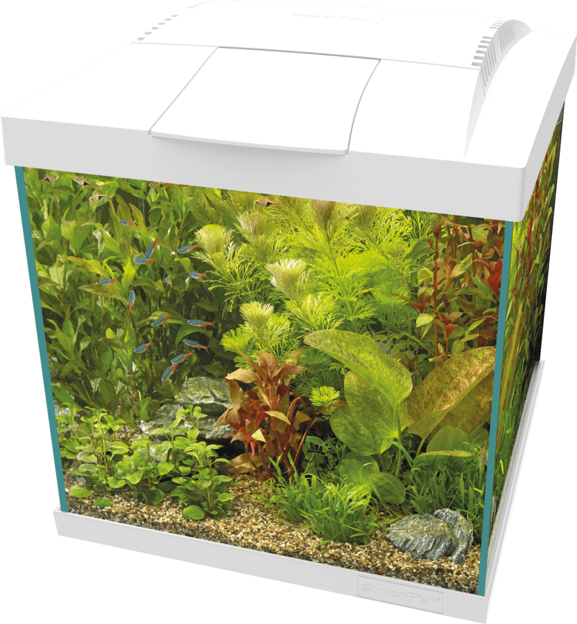 SuperFish Start Qube Kits - Perfect Aquatics Ltd