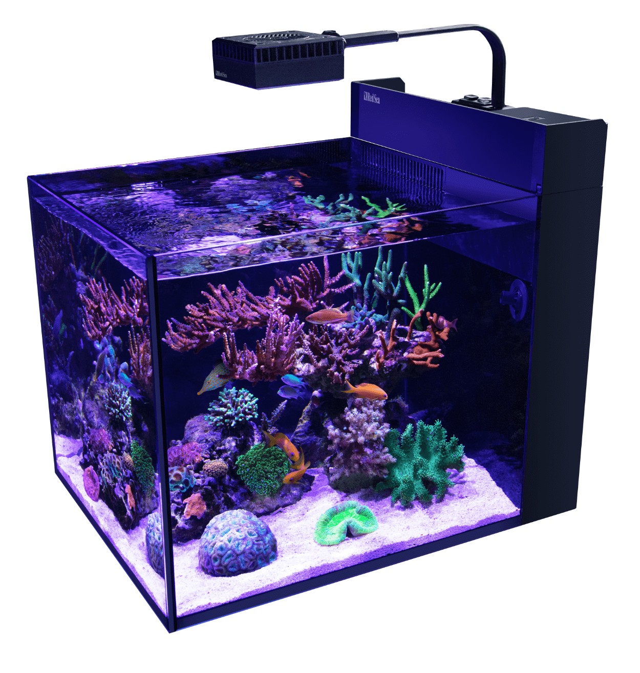 Red Sea MAX Nano G2 - Peninsula Red Sea MAX Nano G2 - Peninsula