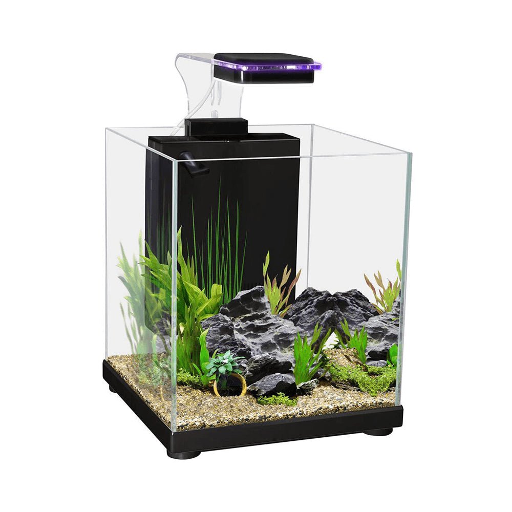 aqua one fish tank accessories Aqua One Betta Sanctuary Aquarium 10L
