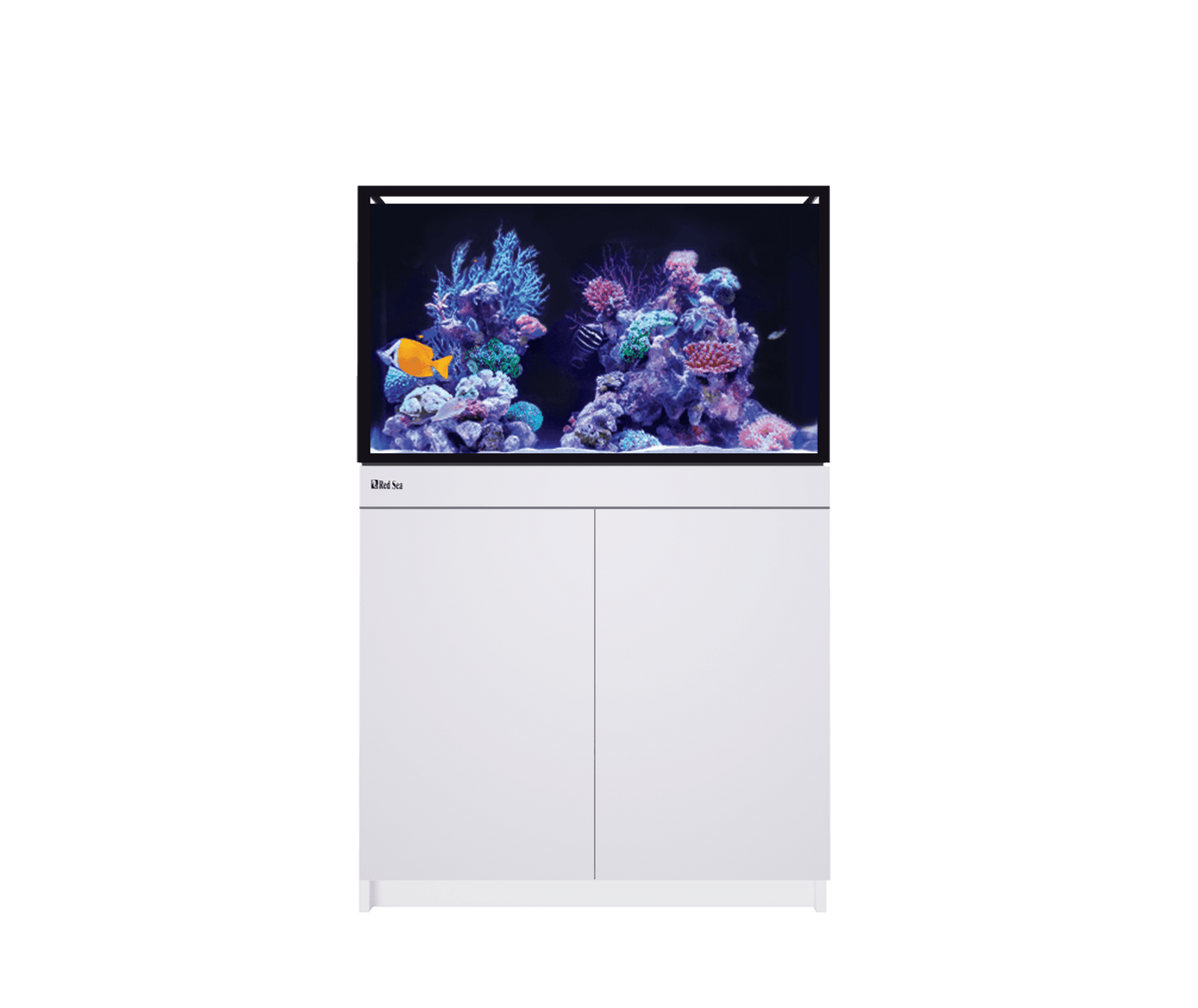 Red Sea REEF-FRAME 250 Aquarium - Perfect Aquatics Ltd