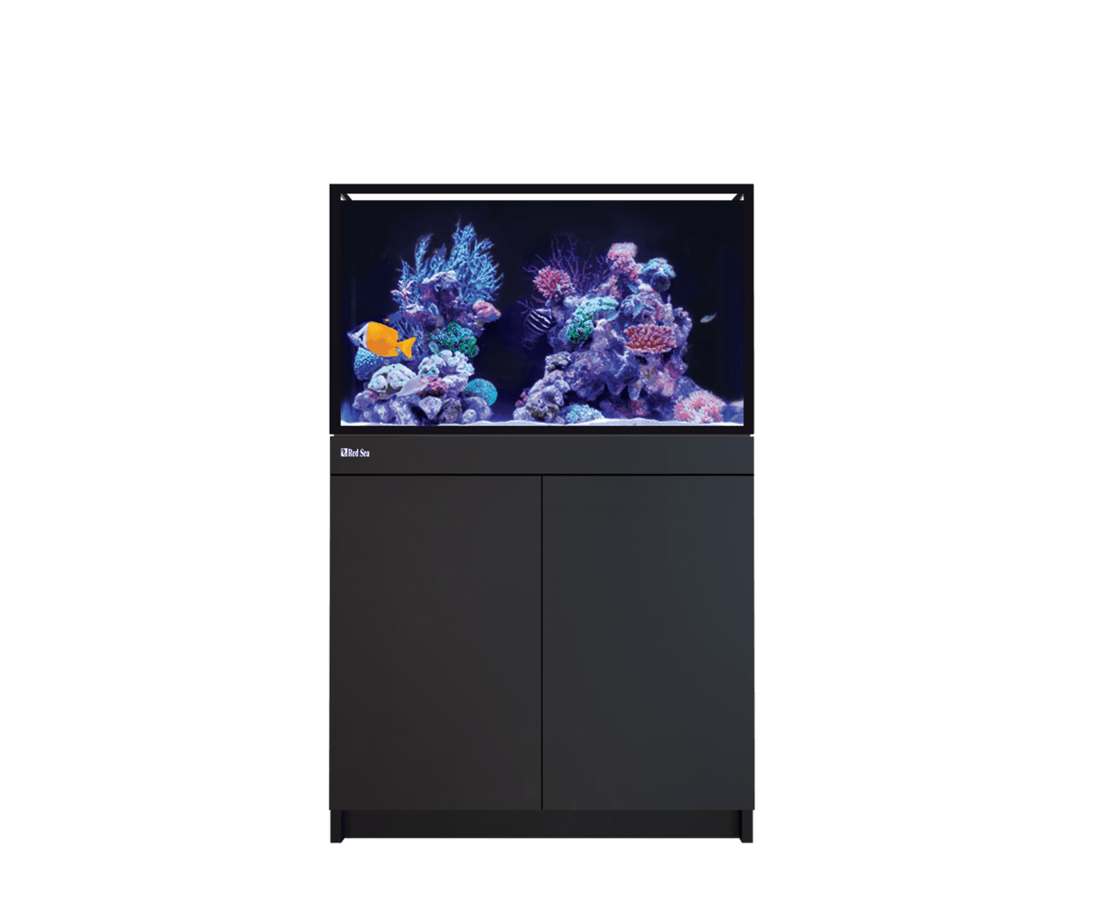Red Sea REEF-FRAME 250 Aquarium - Perfect Aquatics Ltd