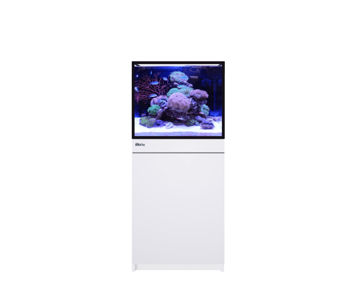 Red Sea REEF-FRAME 170 Aquarium - Perfect Aquatics Ltd
