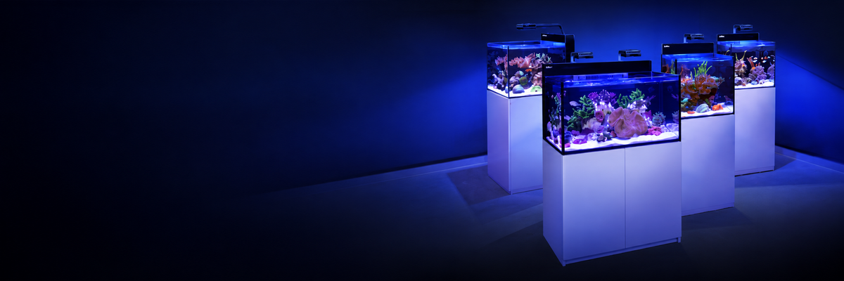Red Sea MAX NANO G2 aquarium range in a blue-lit studio