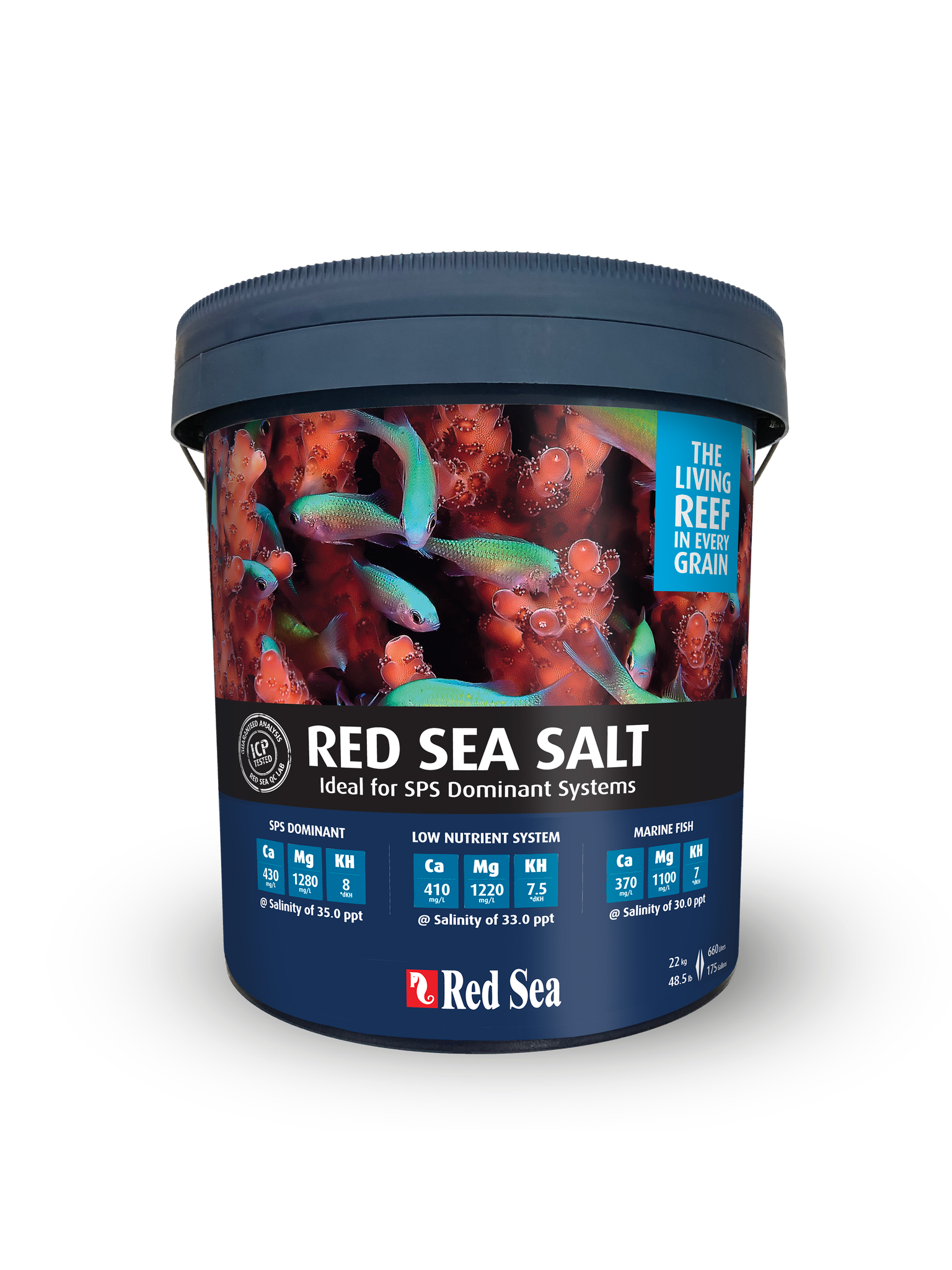 Red Sea Salt Bucket