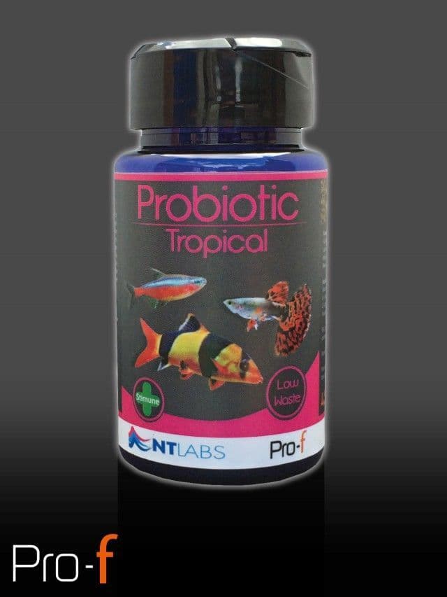 NT Labs Probiotic Tropical