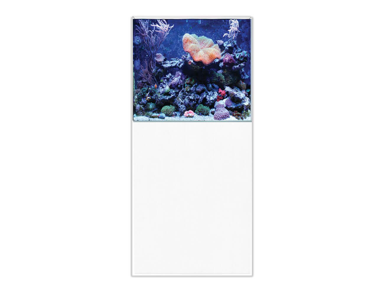 Aqua One ReefSys 180 Marine Tank With Sump, Plumbing & Cabinet - Perfect Aquatics Ltd