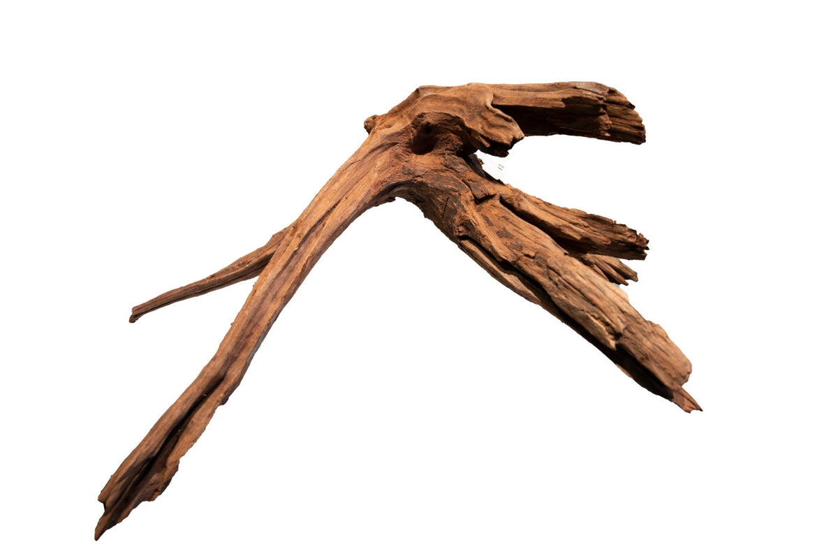 Superfish Mangrove Aged Wood - Per Piece - Perfect Aquatics Ltd
