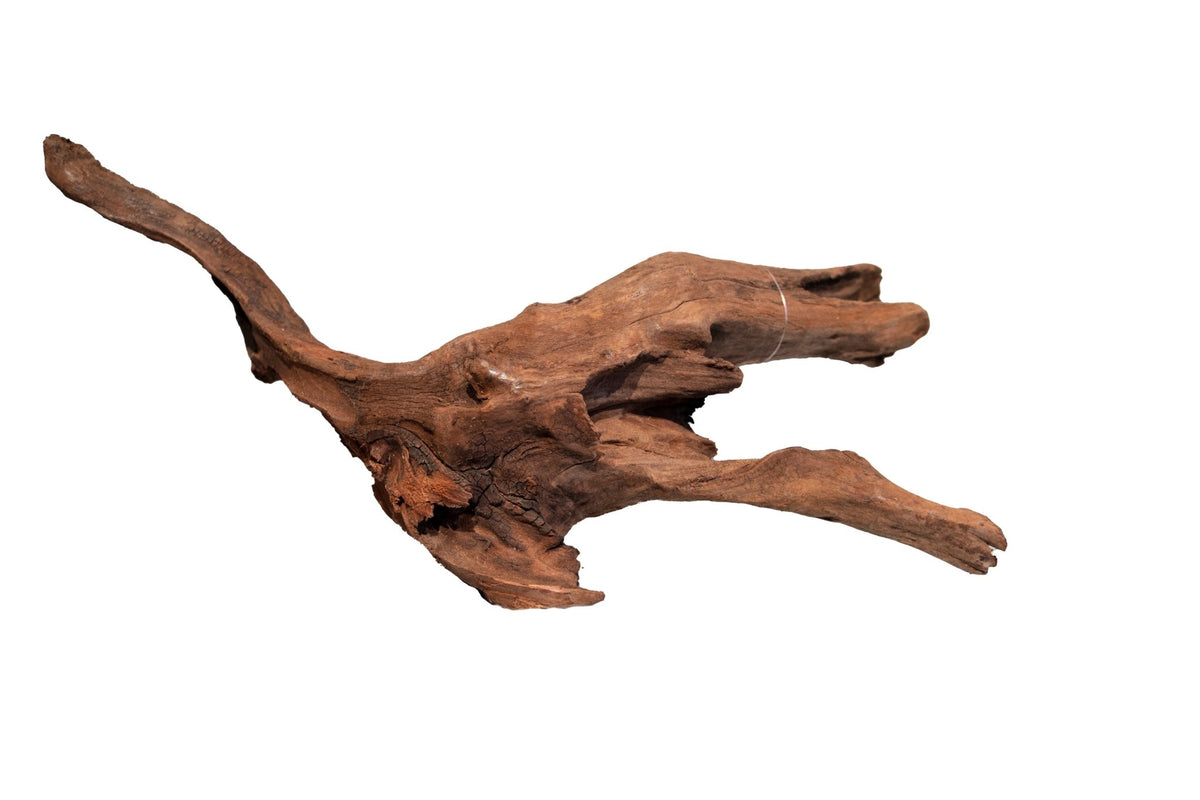 Superfish Mangrove Aged Wood - Per Piece - Perfect Aquatics Ltd