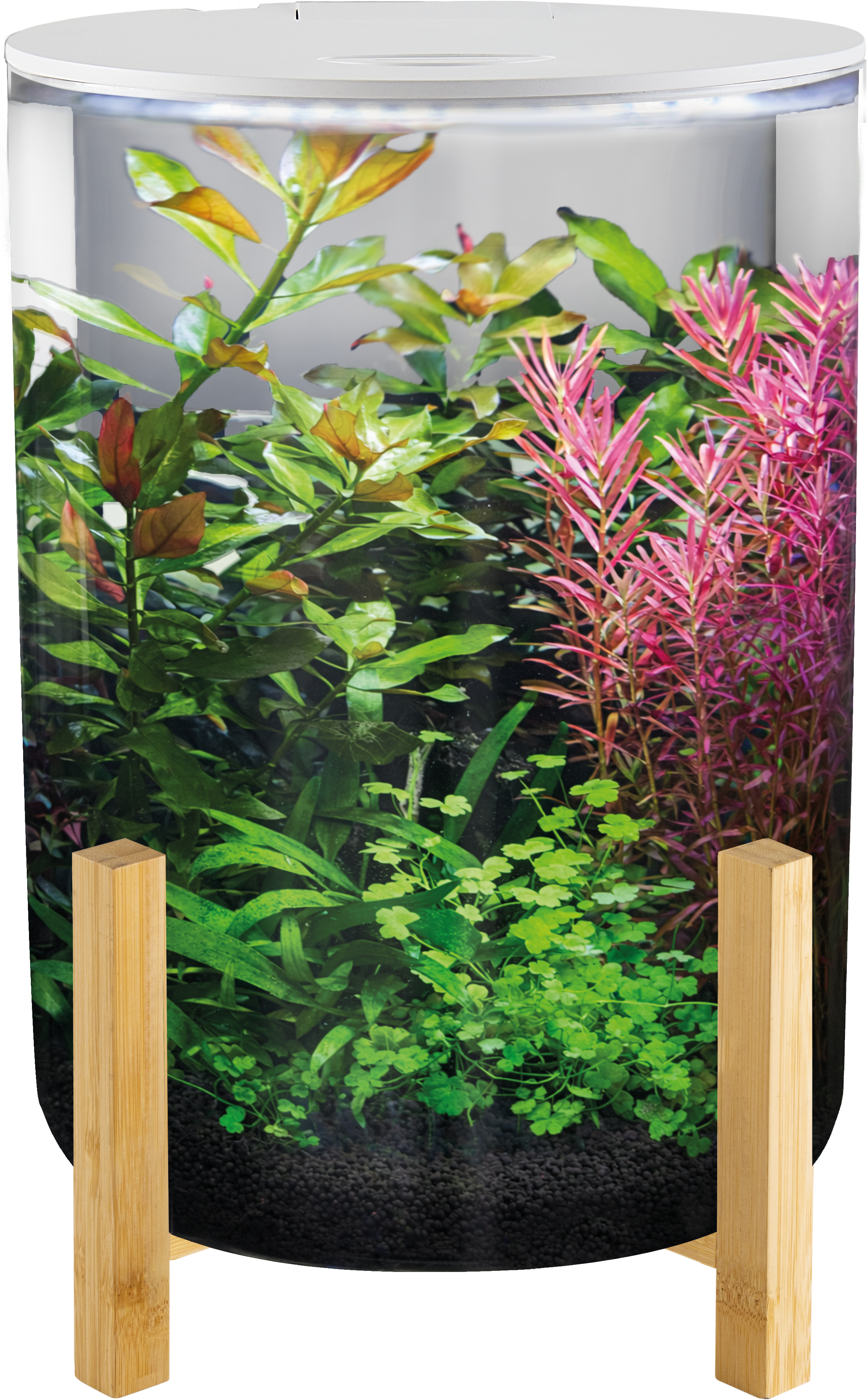SuperFish Orbiq 11 aquarium in white
