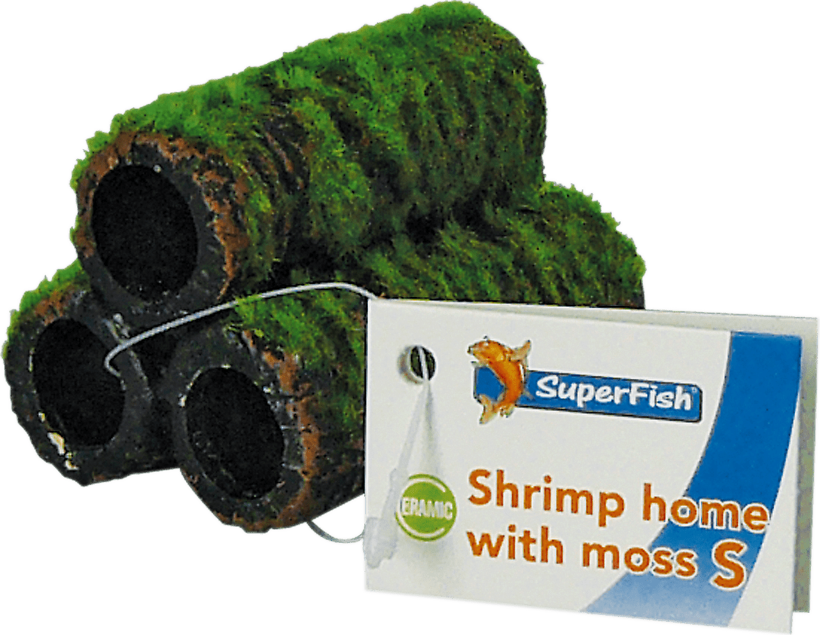 SuperFish Shrimp Home with Moss - Perfect Aquatics Ltd