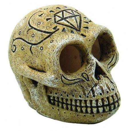 Superfish Skull Monkey