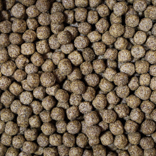 NT Labs Wheatgerm With Garlic - Perfect Aquatics Ltd