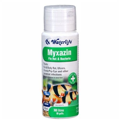 Waterlife Myxazin Fin Rot and Bacteria Treatment