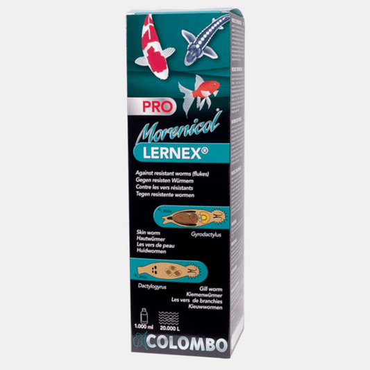 Colombo Morenicol Lernex Pro