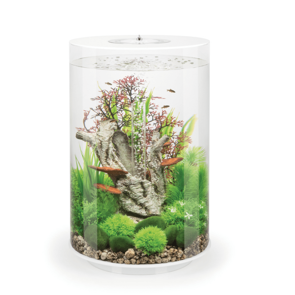 Biorb hot sale tube 15